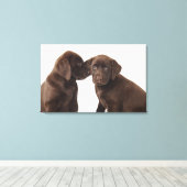 Toile Deux chiots Labrador Retriever Puppies au chocolat (Insitu (Plancher de Bois))