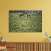Toile Deux colts sur le terrain (Insitu(Salon))