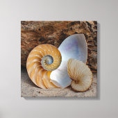 Toile Deux coques Nautilus (Recto)