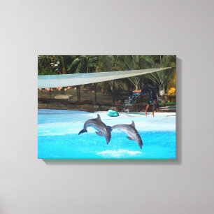 Toile Deux dauphins animal