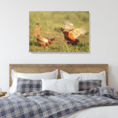 Toile Deux faisans à col rond mâles qui se battent. (Insitu(Chambre))