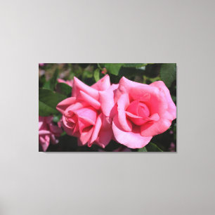 Toile deux fleurs roses roses chaudes.