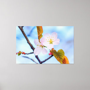 Toile Deux Fleurs Sakura De Couleur Rose Pâle Au Printem