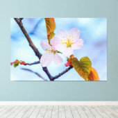 Toile Deux Fleurs Sakura De Couleur Rose Pâle Au Printem (Insitu (Plancher de Bois))