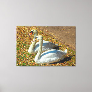 Toile Deux jeunes cygnes au soleil d'automne
