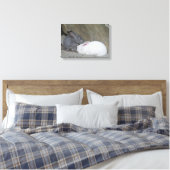 Toile Deux lapins mignons (Insitu(Chambre))