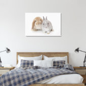 Toile Deux lapins Netherland Dwarf et Holland Lop (Insitu(Chambre))
