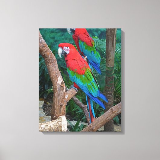 Toile Deux Macaws à ailes rouge et verte Ara Chloropteru (Recto)