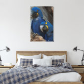 Toile Deux Macaws Hyacinth, Brésil (Insitu(Chambre))