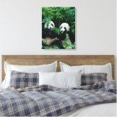 Toile Deux pandas mangeant du bambou ensemble, Wolong (Insitu(Chambre))