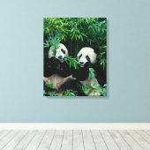 Toile Deux pandas mangeant du bambou ensemble, Wolong (Insitu (Plancher de Bois))