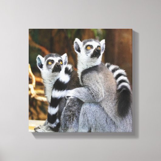 Toile Deux petits lémuriens (Recto)