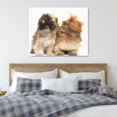 Toile Deux Shih-Tzus au vent (Insitu(Chambre))