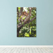 Toile Deux Singes Dans Un Arbre (Insitu (Plancher de Bois))