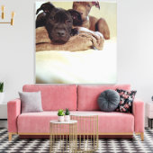 Toile Deux terriers à bulles assis à l'intérieur, gros p (Insitu(Salon))