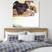 Toile Deux terriers à bulles assis à l'intérieur, gros p (Insitu(Chambre))