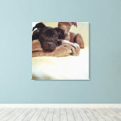 Toile Deux terriers à bulles assis à l'intérieur, gros p (Insitu (Plancher de Bois))