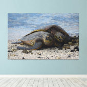 Toile Deux tortues de mer vertes hawaïennes s'accrochent (Insitu (Plancher de Bois))