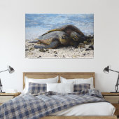 Toile Deux tortues de mer vertes hawaïennes s'accrochent (Insitu(Chambre))