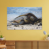 Toile Deux tortues de mer vertes hawaïennes s'accrochent (Insitu(Salon))