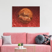 Toile Développement de Zygote : 24-36 Heures (Insitu(Salon))