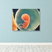 Toile Développement Du Foetus À 9 Semaines (Insitu (Plancher de Bois))
