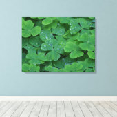 Toile Dew Dranted Clochers Macro Photo Wall Art (Insitu (Plancher de Bois))