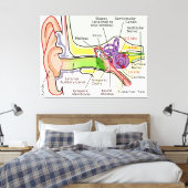 Toile Diagramme de cartographie de fréquence Cochléaire  (Insitu(Chambre))