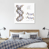Toile Diagramme des bases de l'acide désoxyribonucléique (Insitu(Chambre))