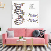 Toile Diagramme des bases de l'acide désoxyribonucléique (Insitu(Salon))