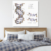 Toile Diagramme des bases de l'acide désoxyribonucléique (Insitu(Chambre))