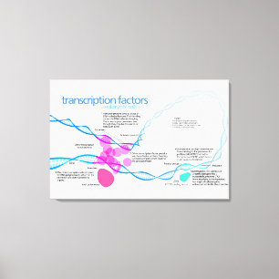 Toile Diagramme des facteurs de transcription des gènes