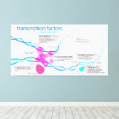 Toile Diagramme des facteurs de transcription génétique (Insitu (Plancher de Bois))