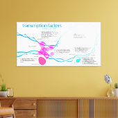 Toile Diagramme des facteurs de transcription génétique (Insitu(Salon))