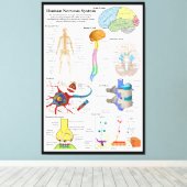 Toile Diagramme du cerveau humain et du système nerveux (Insitu (Plancher de Bois))