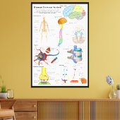 Toile Diagramme du cerveau humain et du système nerveux (Insitu(Salon))