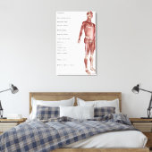 Toile Diagramme du système musculaire (Insitu(Chambre))