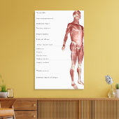 Toile Diagramme du système musculaire (Insitu(Salon))