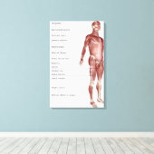 Toile Diagramme du système musculaire (Insitu (Plancher de Bois))