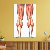 Toile Diagramme illustrant les groupes de muscles de la (Insitu(Salon))