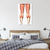 Toile Diagramme illustrant les groupes de muscles de la (Insitu(Chambre))
