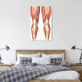 Toile Diagramme Illustrant Les Groupes Musculaires Sur L (Insitu(Chambre))
