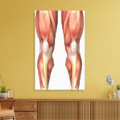 Toile Diagramme Illustrant Les Groupes Musculaires Sur L (Insitu(Salon))