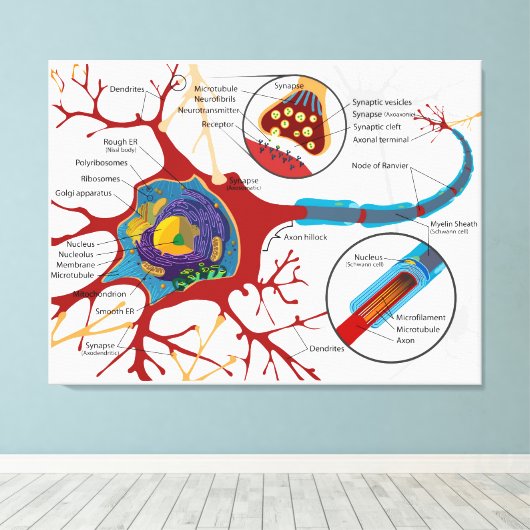 Toile Diagramme Neurone complet Cellule nerveuse Système (Insitu (Plancher de Bois))