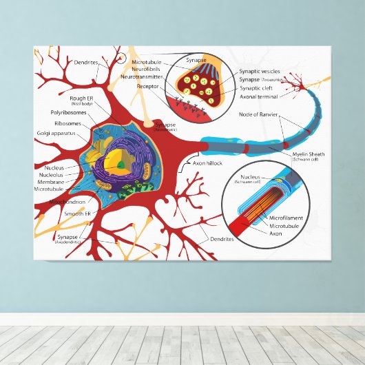 Toile Diagramme Neurone complet Cellule nerveuse Système (Insitu (Plancher de Bois))