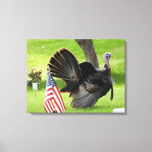 Toile Dindon patriotique se pavanant