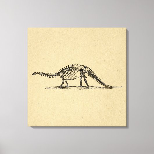 Toile Dinosaur Skeleton Art Vintage (Recto)