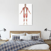 Toile Disposition de tous les muscles du corps humain (Insitu(Chambre))
