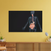 Toile Disposition du système digestif humain (Insitu(Salon))