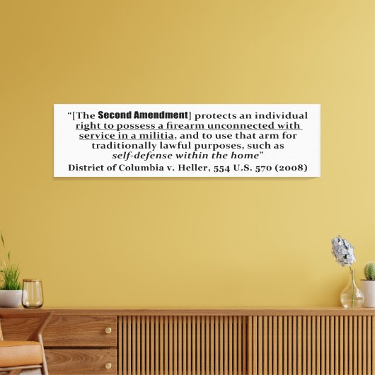 Toile District of Columbia v Heller, 554 U.S. 570 2008 (Insitu(Salon))